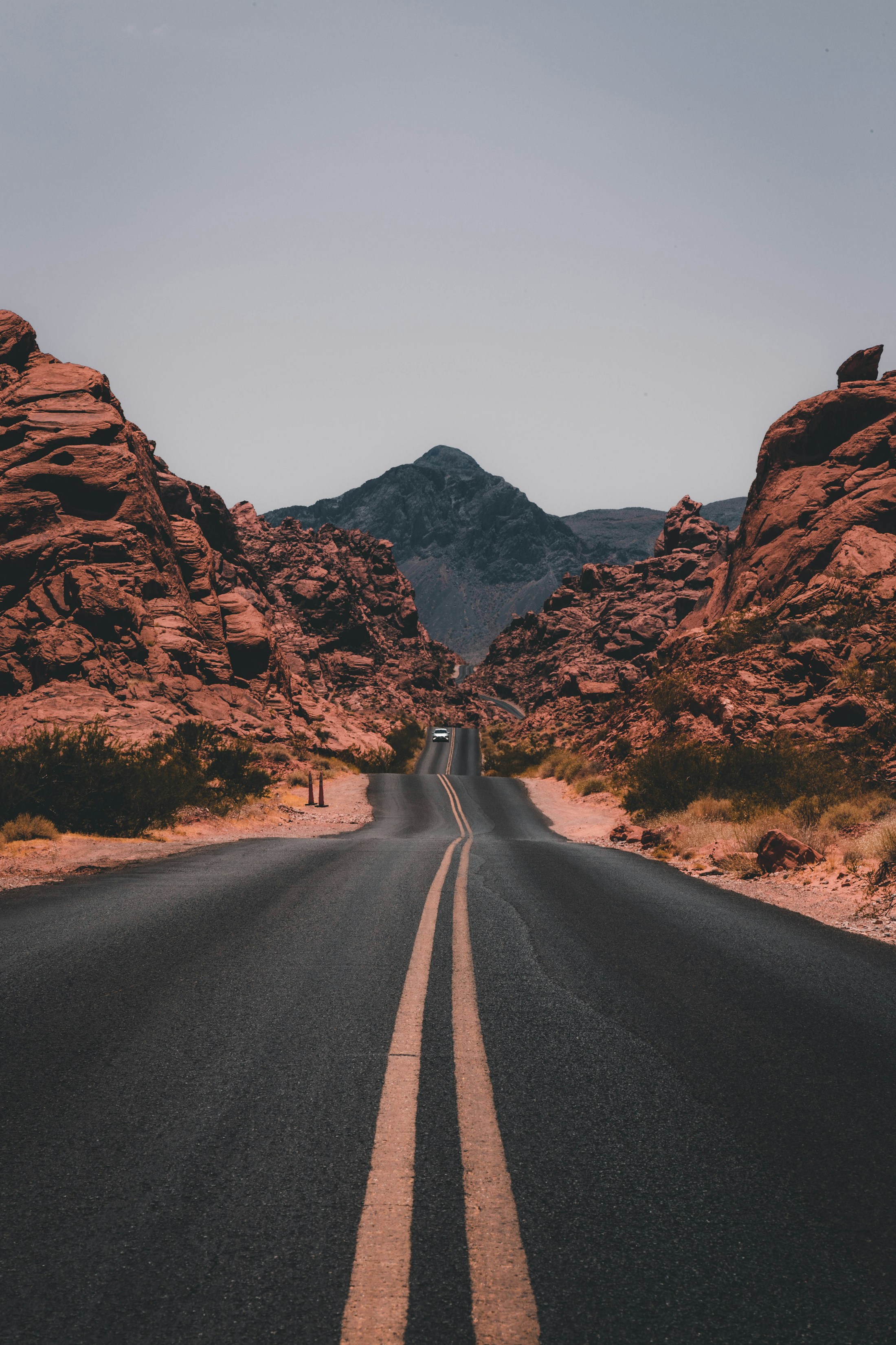 Desert Signal